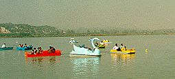 Satluj Wildlife