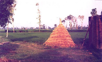 Punjabi Village