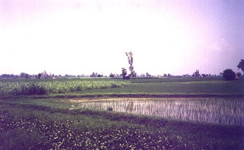 Punjabi Village